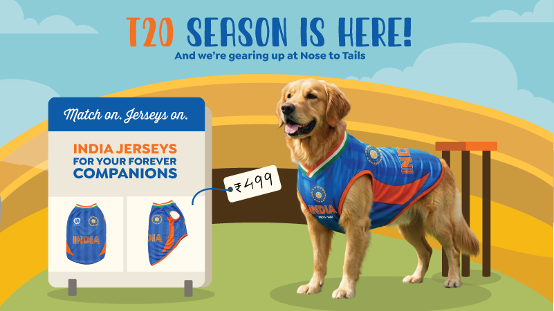 Learn about Puppy care from grooming to nutrition and more